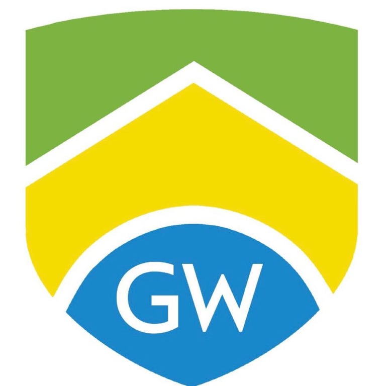 Brazilian Organization in USA - GW Brazilian Club